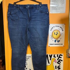 Terra & Sky Women's Dark Blue Skinny Jeans 18W